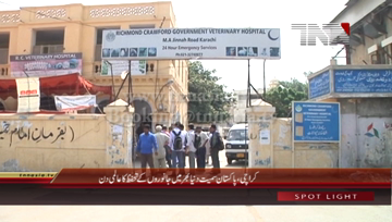Karachi- World Animal Day being observed today