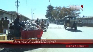 Quetta- Winter Season, People throng Fish Market