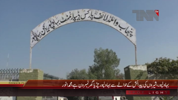 Bahawalpur- Bahawalpur Zoo is the number 1 in the growth of Lions