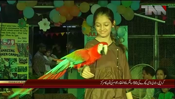 Karachi- 50th Birthday Celebration of Julie (Turtle)

