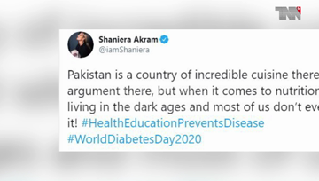 Islamabad- World Diabetes Day, What did Shanira suggest to PEMRA regarding advertisements? 