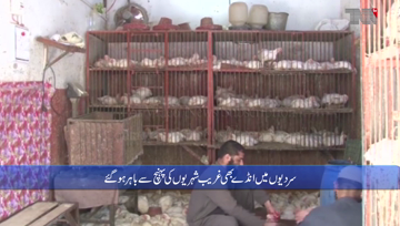 Karachi- prices shoots of chickens and eggs in winter