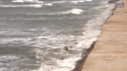 Karachi- Cyclone Tauktae likely to cause thunderstorms, gusty winds in Karachi