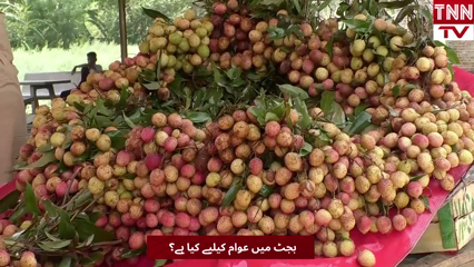 Pakistan budget 2026