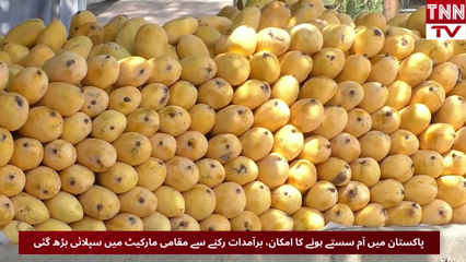 Pakistan mango prices to drop as exports halt